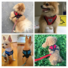 Dog Harness - S