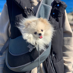 Outdoor Dog Carrier